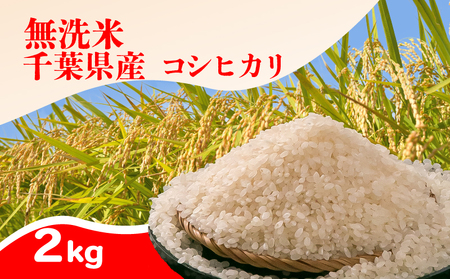 無洗米 千葉県産 コシヒカリ 2kg 米 米 根本商店