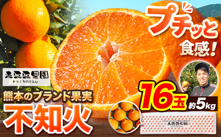 贈答用 不知火 熊本のブランド果実 不知火 16玉 約5kg デコポン と同品種 でこぽん フルーツ 柑橘 しらぬい ギフト 未来来農園 《4月上旬-4月下旬頃出荷》フルーツ 果物 蜜柑 柑橘 完熟 デザート 産地直送