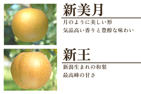 【2025年先行予約】【30セット限定】 旬の和梨 年6回定期便 和梨6品種食べ比べ （豊水・あきづき・新美月・新王・新高・新興） 各3kg 合計18kg《9月中旬から順次発送》 旬の和梨をお届け 頒