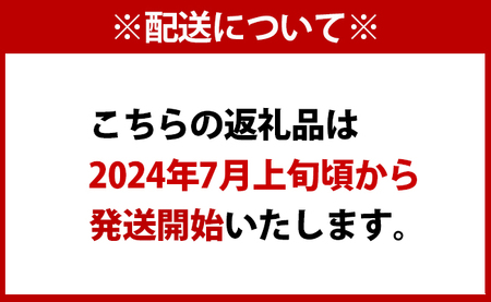 【2024年7月上旬以降配送開始】【贈答用】島マンゴー園 完熟マンゴー Ａ品 1kg マンゴー フルーツ