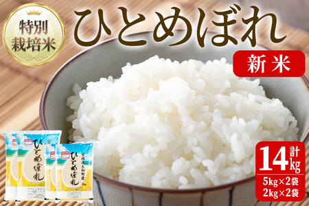 【令和6年産 新米】特別栽培米 ひとめぼれ 14kg  ta240【若木の里】