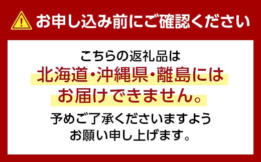 先行受付＜2025年8月下旬より発送＞岡山県産 シャインマスカット 晴王 2kg(3房〜6房) TY0-0305