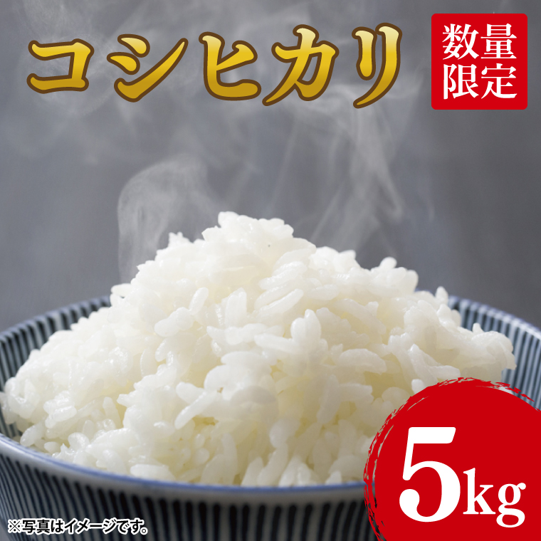 【10月中旬より発送】コシヒカリ5kg【令和7年産新米】【米 おこめ こしひかり 農家直送 直送 茨城県 阿見町】（68-01）