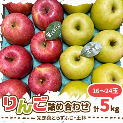 【青森市産　完熟葉とらずふじ・王林】 約5kg 16～24玉(家庭用)【配送不可地域：離島・沖縄県】