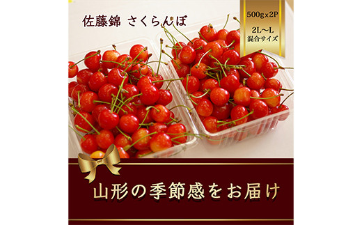 さくらんぼ 佐藤錦 500g×2パック L～2Lサイズ混合 バラ詰め【2025年6月発送】 FSY-1171
