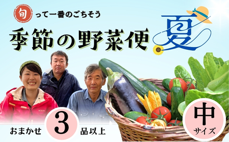 【期間限定】 ～旬っていちばんのごちそう～ ひぐらし農場 季節の野菜便 （夏） 中サイズ （7-A35） 長野県 飯山市 おすすめ ランキング おいしい 高評価 大人気 野菜 野菜 野菜 野菜 野菜 野菜 野菜 野菜 野菜 野菜