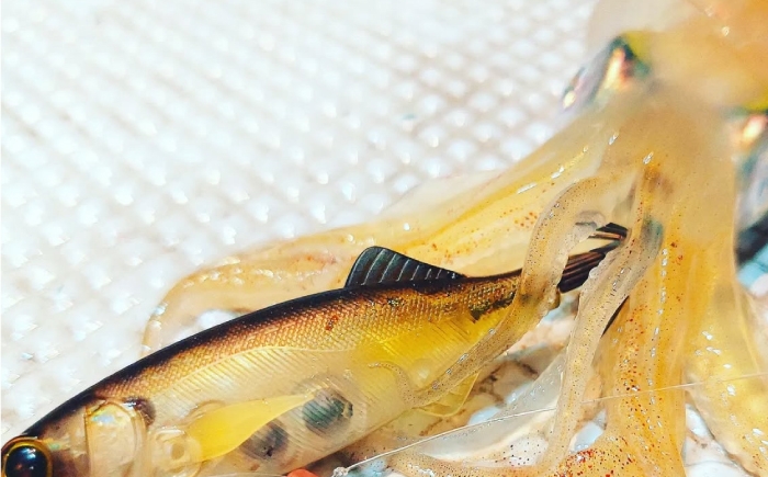 ルアー 釣具 釣り具 ソルトルアー 海釣り セット 詰め合せ 人気 おすすめ