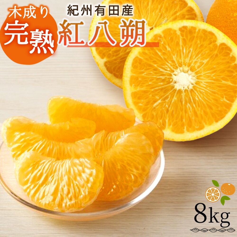 【ふるさと納税】 【先行予約】紀州有田産木成り完熟紅八朔8kg ※2026年2月末頃〜2026年3月中旬頃に順次発送予定（お届け日指定不可）/ みかん 不知火 和歌山 フルーツ 有田