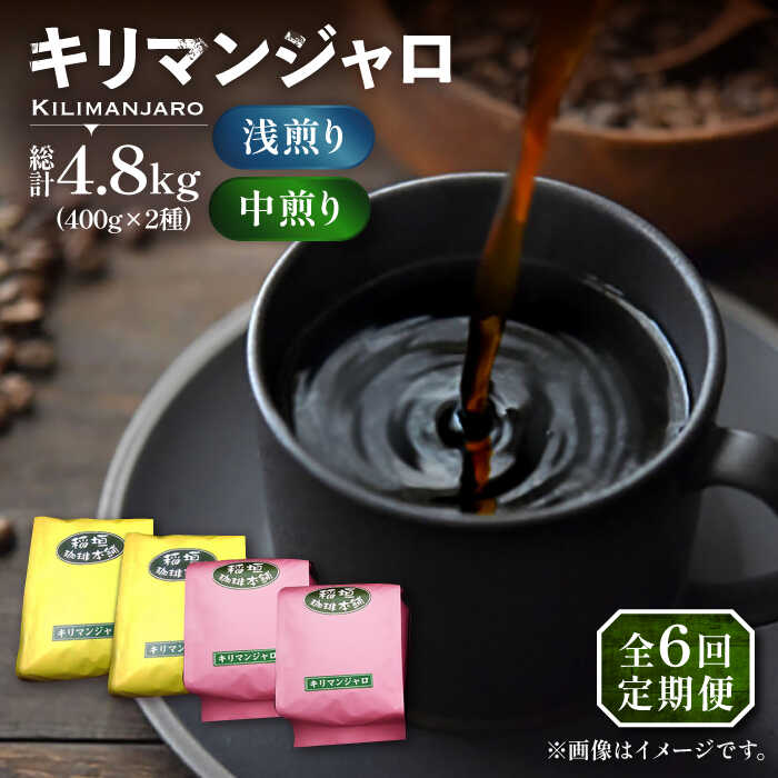 【ふるさと納税】【全6回定期便】キリマンジャロ コーヒー 2種 ( 浅煎り フルーツフレーバー ＆ 中煎り チョコレートフレーバー )《豊前市》【稲垣珈琲】珈琲 コーヒー 豆 粉[VAS192] 110000 110000円