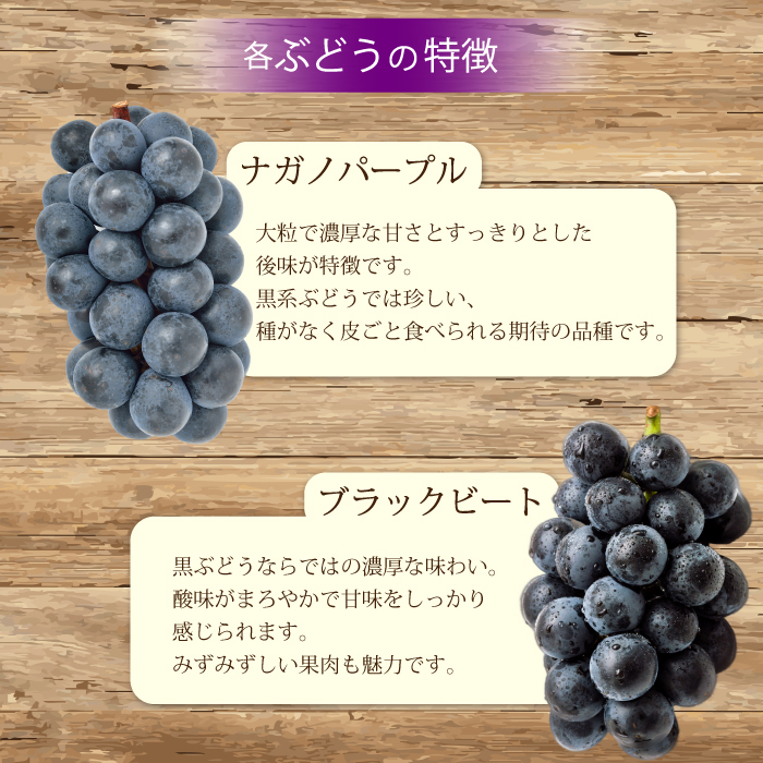 【先行受付】農園自慢のぶどうを食べくらべ♪シャインマスカット1房おまかせぶどう1房 2025年9月下旬発送予定 果物 くだもの フルーツ ブドウ 葡萄 202006