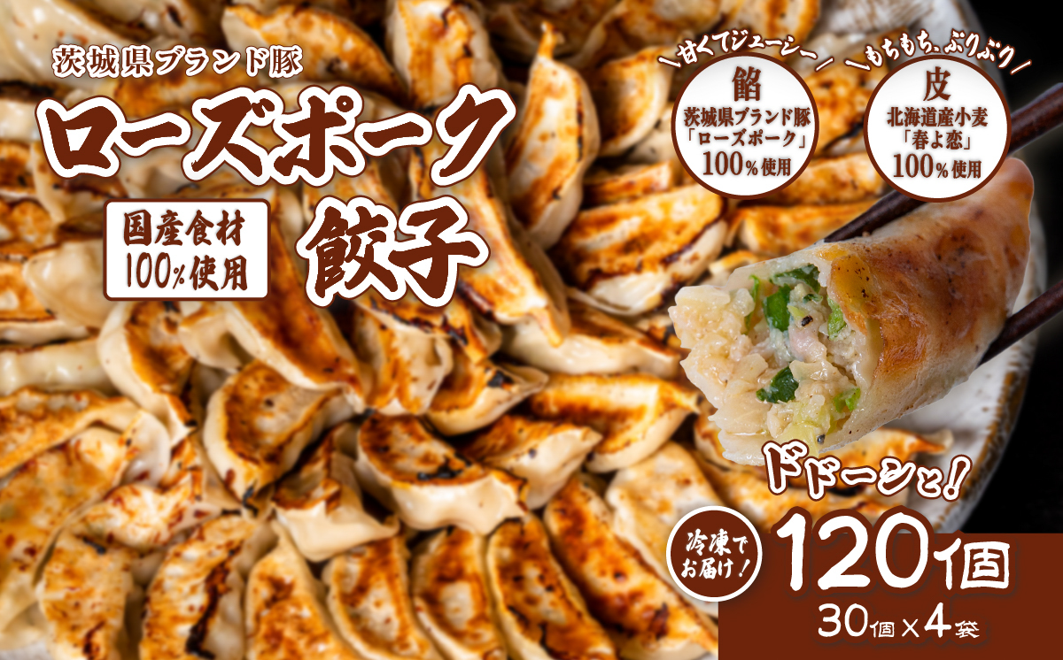 ローズポーク餃子 ドドーンと 120個 ( 冷凍 30個 × 4袋)【 茨城県産  ローズポーク 豚肉 キャベツ 北海道産小麦 春よ来 使用 もちもち ぷりぷり 皮 ギョウザ ギョーザ チャオズ 中華 餃子人気 飲茶 】