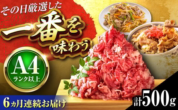
            【全6回定期便】【A4〜A5】博多和牛 切り落とし 500g 吉富町/株式会社MEAT PLUS [BGAB099]
          