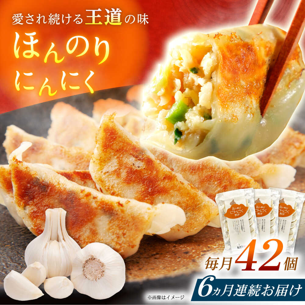 【ふるさと納税】【全6回定期便】【3パック】餃子屋ヒロの ほんのりにんにく餃子【餃子屋ヒロ】開成町 餃子 点心 惣菜 冷凍[BDAS014]