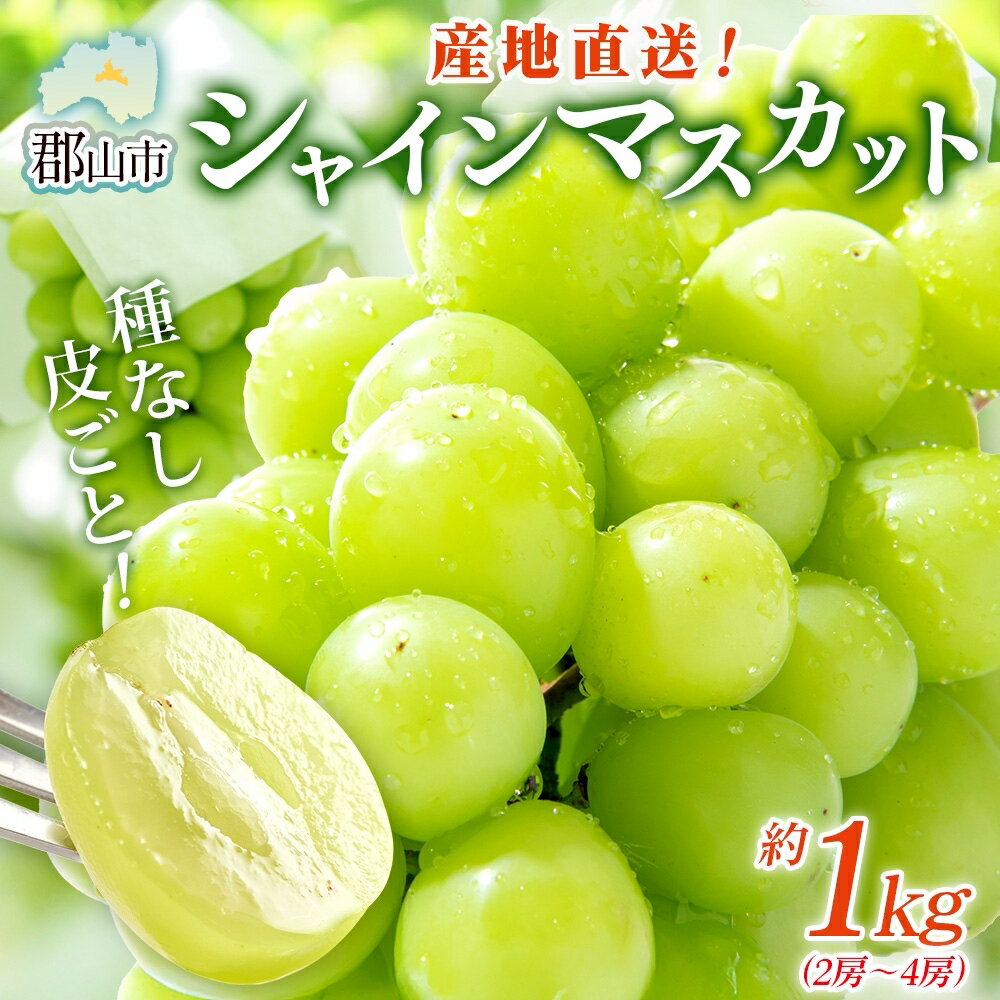 【ふるさと納税】【楽天限定】シャインマスカット 約1kg 2房～4房【若林果樹園】 果物 ぶどう フルーツ デザート 食後 皮ごと 高糖度 国産 　お届け：2025年9月中旬以降順次出荷