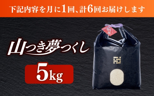 【黒箱】【全6回定期便】農薬 を使わずに育てた 山つき 夢つくし 5kg itoshimacco《築上町》【株式会社やました】 [ABEX015-2]