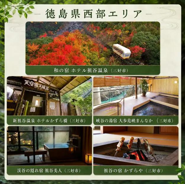 宿泊券 7,500円分 徳島 旅行券 宿泊券