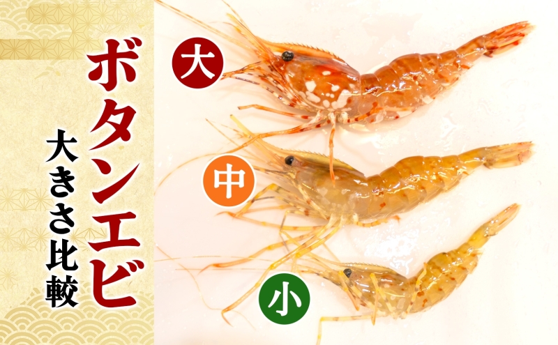 北海道 噴火湾産 冷凍ボタンエビ 大サイズ 計800g 20～28尾 ボタンエビ エビ えび 海老 北海道産 旬 ぼたんえび 刺身 牡丹海老 海鮮 魚介 甲殻類 味噌汁 鍋 海鮮丼 冷凍 洞爺湖町