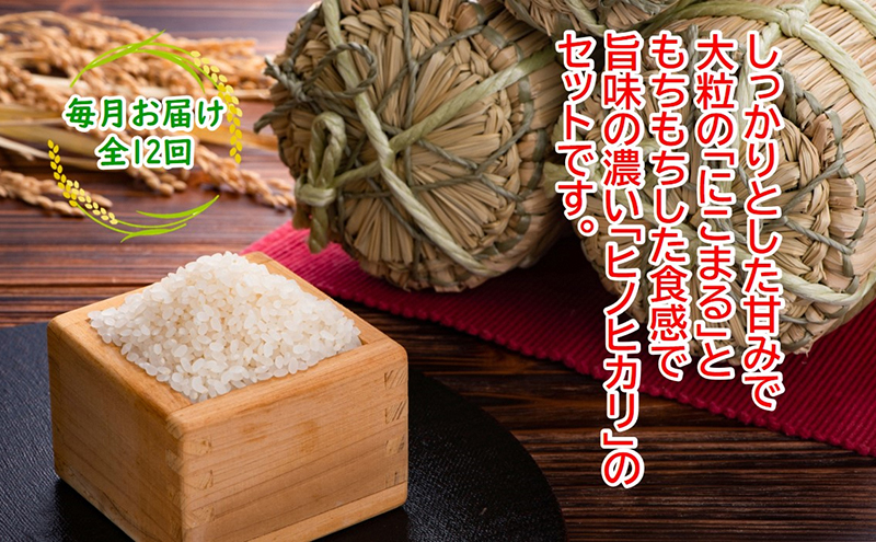 ★令和5年産★農林水産省の「つなぐ棚田遺産」に選ばれた棚田で育てられた 棚田米 土佐天空の郷 5kg食べくらべセット定期便 毎月お届け 全12回