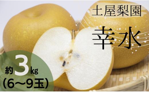 ＼数量限定／ 土屋梨園 幸水梨 3kg 申込受付中 ナシ なし 幸水 千葉県産 8月発送 千葉なし 先行予約 先行予約フルーツ