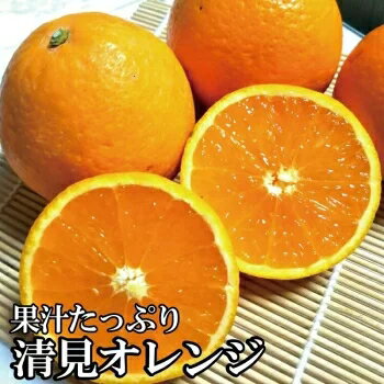 【ふるさと納税】 果汁たっぷり！清見オレンジ 約5kg 有機質肥料100% ※2026年3月上旬から3月下旬頃に順次発送予定（お届け日指定不可）