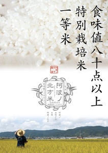 コシヒカリ 3kg 阿波ノ北方米 令和6年産 1等 米 白米 お米 新米 徳島県 阿波市 阿波ノ北方農園