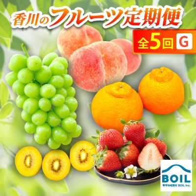 
                  ＜発送月固定定期便＞香川のフルーツ(5G)全5回【4083560】
                