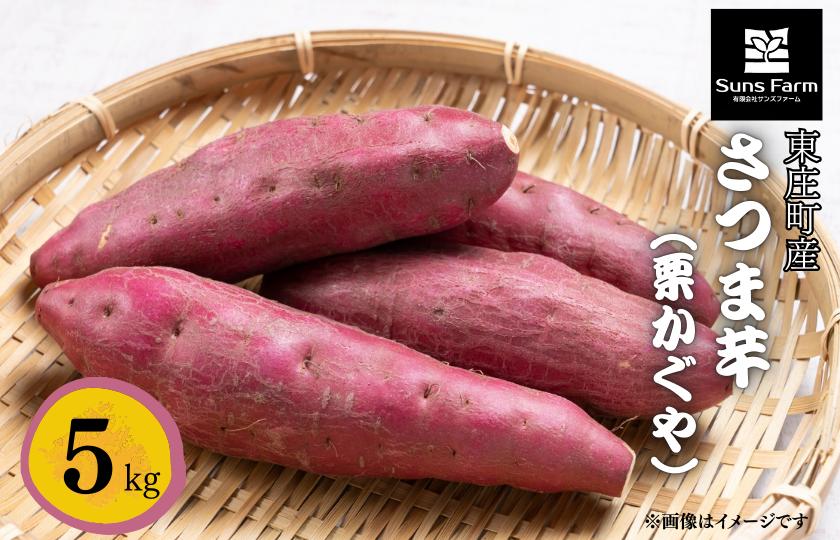 
            東庄町産　さつま芋（栗かぐや）　5kg ／ さつま芋 さつまいも サツマイモ 薩摩芋 甘藷 唐芋 栗かぐや くりかぐや クリカグヤ 芋 いも イモ 農薬不使用 化学肥料不使用 除草剤不使用 産地直送 千葉県 東庄町 送料無料
          