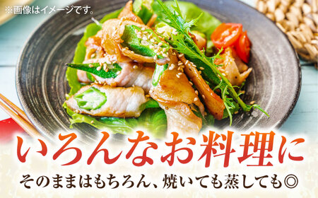 【先行予約】オクラ　約1㎏（7月）【鈴也ファーム】[AKCE023]