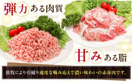 放牧豚 切落し・挽き肉 セット 計1kg（250g×4） 精肉 豚肉 ミンチ スライス 小分け 冷凍 北海道  [AXBA158]