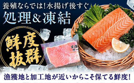玄海サーモン柵80g×6袋 / 佐賀県 / 株式会社九州特産品販売 [41AECT008]