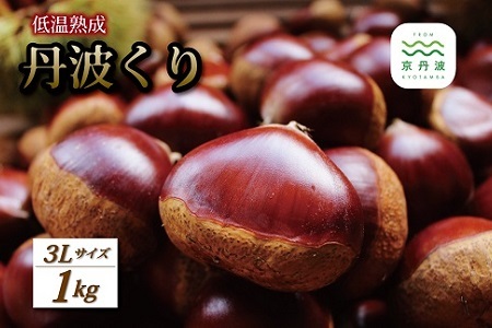 低温熟成 丹波くり 3Lサイズ 1kg ≪ 数量限定 ≫（ 500g×2袋 ） 京丹波町産 国産 京都 丹波 和栗 熟成 栗 くり 甘い 栗ごはん 秋の味覚 ※北海道・沖縄・その他離島への配送不可 [015NK001L]