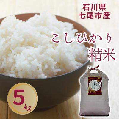 ふるさと納税 七尾市 【令和8年産】石川県七尾市産　コシヒカリ　精米　5Kg