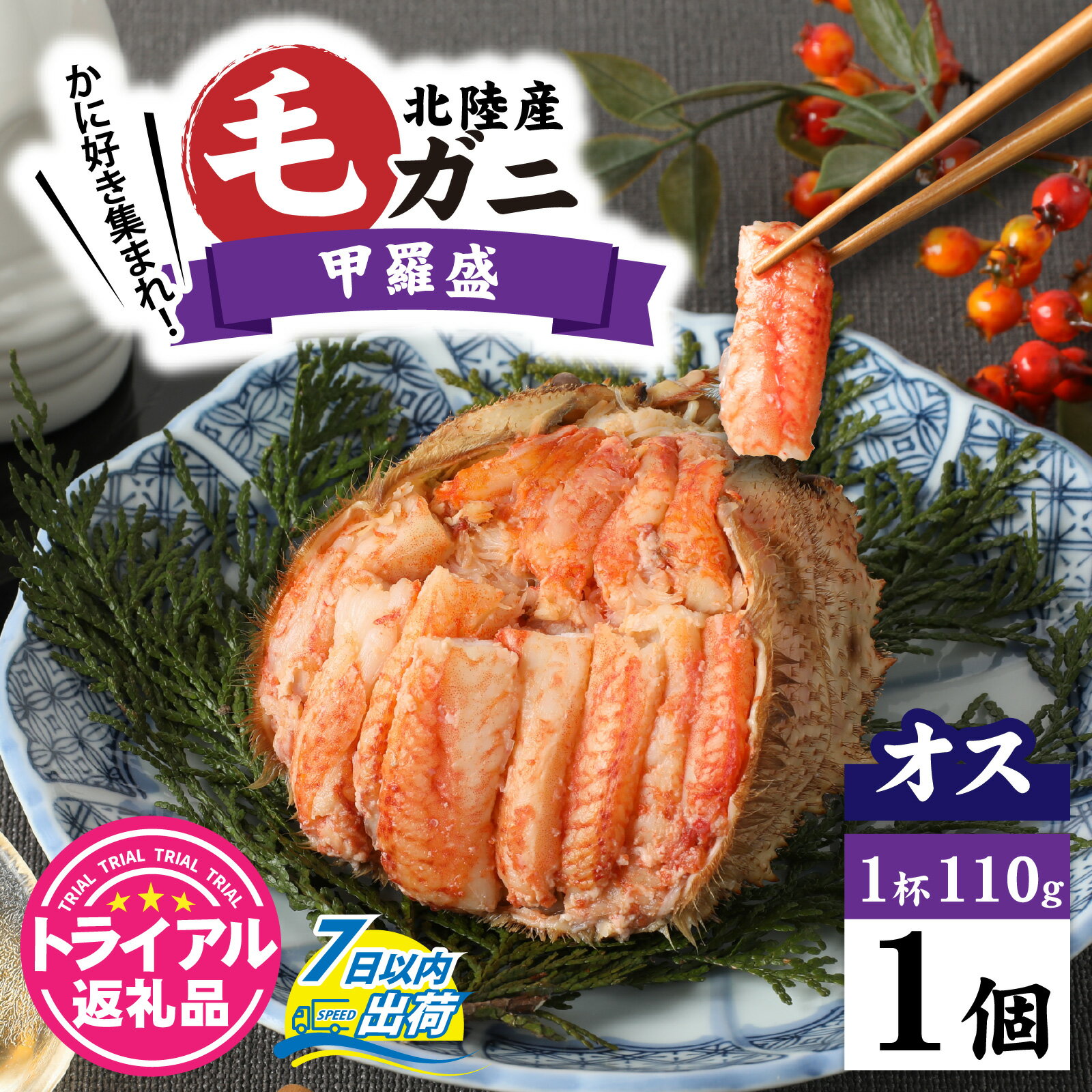 【ふるさと納税】【トライアル返礼品】蟹好き集まれ！北陸産オス毛ガニ 甲羅盛【オス甲羅盛110g前後】【訳あり】 [A-096007] / ケガニ ゆで 茹で 茹でがに ボイル 甲羅盛 甲羅盛り 北陸産 石川 かに ガニ 蟹 専門店 冷凍 手軽 かに酢 カニ 国産 メス オス 雌 雄 訳アリ