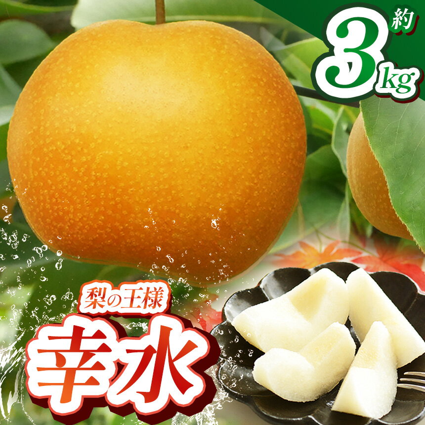 【ふるさと納税】 梨 幸水 3kg 先行予約 2025年 | 梨 なし 豊水 秋月 にっこり 果物 フルーツ デザート 定期便 限定 送料無料 栃木県 下野市