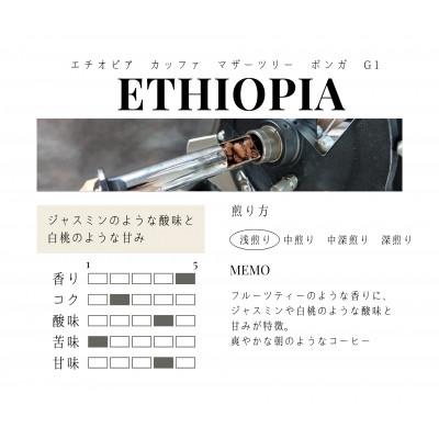 ふるさと納税 筑後市 【豆】エチオピア　カッファ　マザーツリー　ボンガ　G1　(浅煎り)200g×2 |  | 01