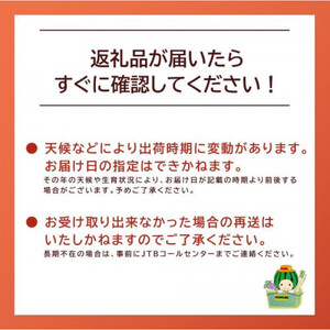 鬼の とまと ※2026年6月上旬～10月下旬頃に順次発送予定 トマト 
