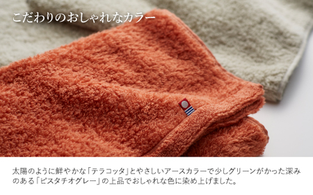 今治ふんわり雲羽タオル ミニバスタオル・フェイスタオルセット(BTテラコッタ、FTピスタチオグレー・各1枚) テラコッタ ピスタチオグレー 今治タオル 今治 日本製 高品質タオル 吸水性 抜群タオル 