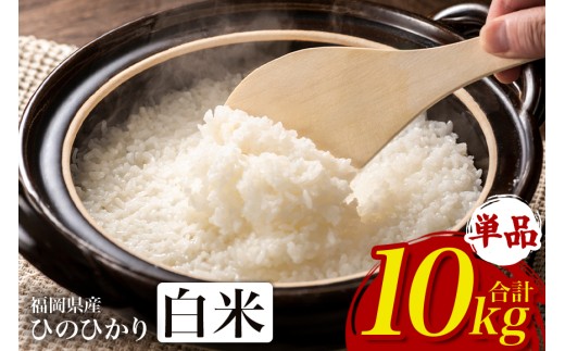 【ふるさと納税】ひのひかり 米 お米 白米 10kg  10キロ 福岡県産 うきは市 国産 精米 ご飯 ごはん おにぎり お弁当 人気 おすすめ 家庭用 送料無料 令和7年度産 ストック 厳選 農家直送 大容量【JA福岡くるめ にじの耳納の里】
