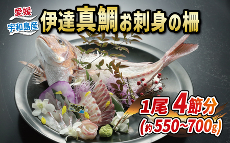 伊達真鯛 550~700g 刺身 1尾 4節 宇和島プロジェクト 真鯛 鯛 マダイ タイ お刺身 お刺し身 刺し身 真空パック フィーレ お手軽 鯛めし 鯛茶漬け 鯛しゃぶ 塩焼き 煮付け アレンジ 