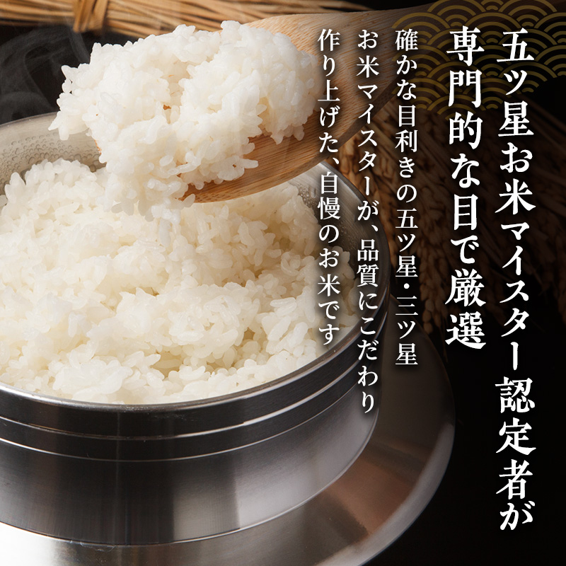 【先行予約】 R7・8年産 新潟ブレンド米 10kg (5kg×2) 新潟県