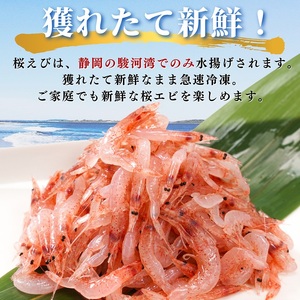 焼津特選 生桜えび 100g×5 (a15-562)