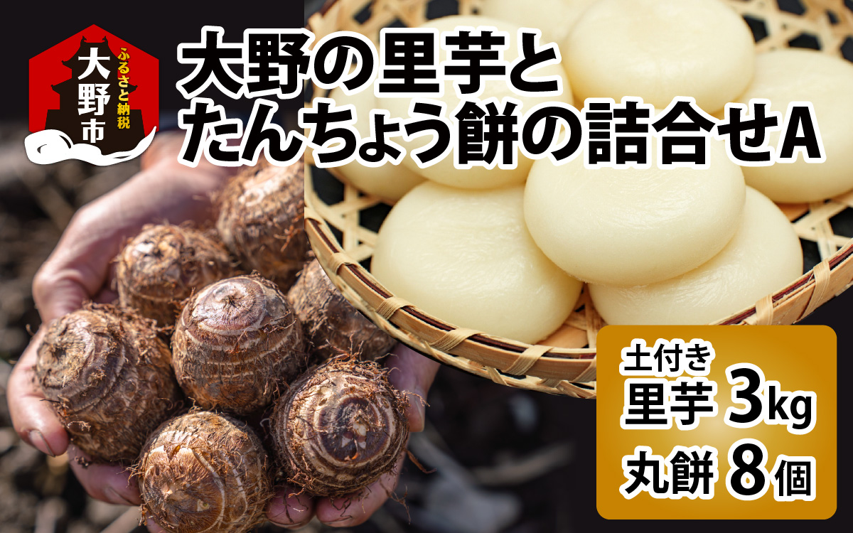 【先行予約】大野の里芋とたんちょう餅の詰め合わせA（里芋3kg+丸餅8個入り×1袋）【2025年11月30日より順次発送】