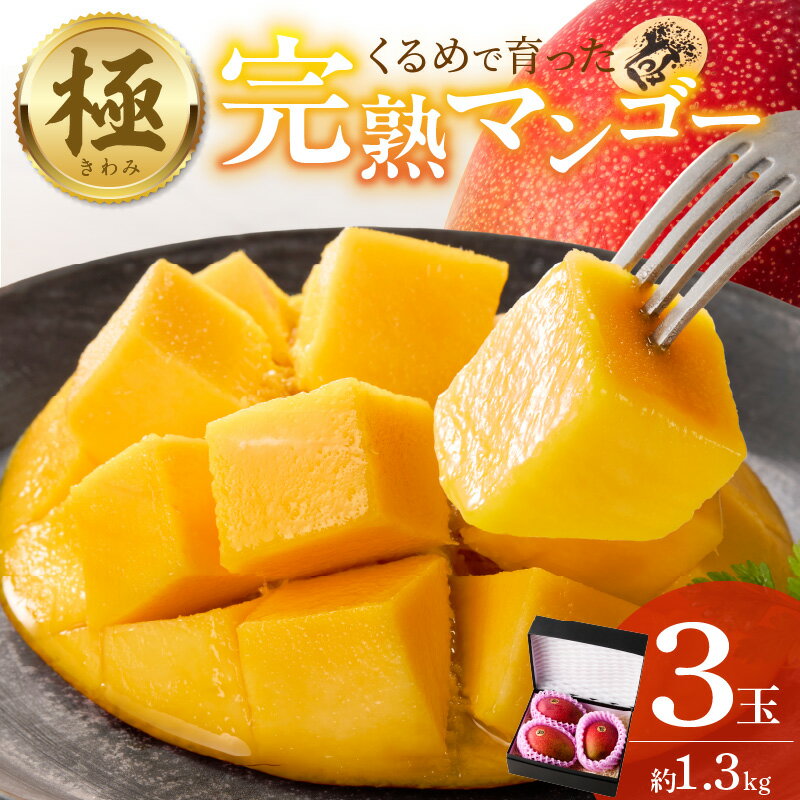 【ふるさと納税】【2026年6月以降お届け】完熟マンゴー 3玉 約 1.3kg 久留米産 平均糖度 17度～18度 完熟 マンゴー 国産 フルーツ トロピカルフルーツ 果物 デザート 冷蔵 クール便 お取り寄せ お取り寄せフルーツ 福岡県 久留米市 送料無料