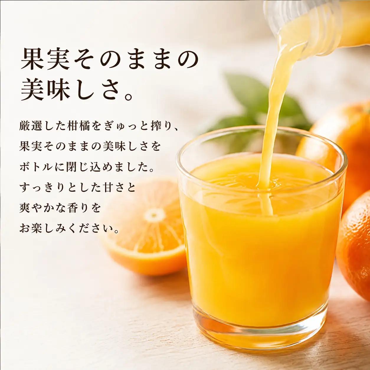 柑橘ジュース「極っ」なかざセット