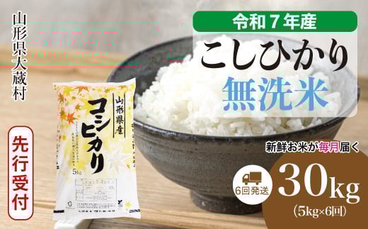 ＜令和7年産米先行受付＞ 大蔵村産 こしひかり 【無洗米】 定期便 30kg （5kg×1ヶ月間隔で6回お届け）＜配送時期選べます＞