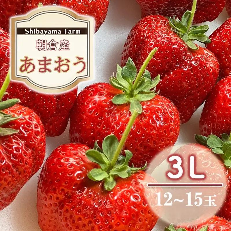 いちご 朝倉市産 あまおう 3L 12～15玉 いちご