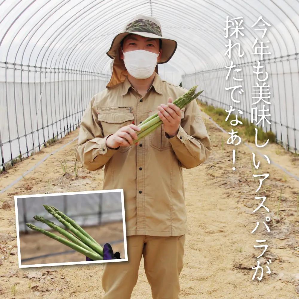 26年産 水村農園 アスパラガス M-L 300g [Q3239_26]