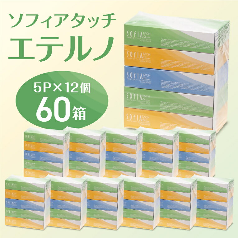 【ふるさと納税】マスコー製紙 ソフィアタッチ エテルノ ティッシュペーパー 150組×5箱×12パック (60箱)　送料無料 静岡県 富士宮市