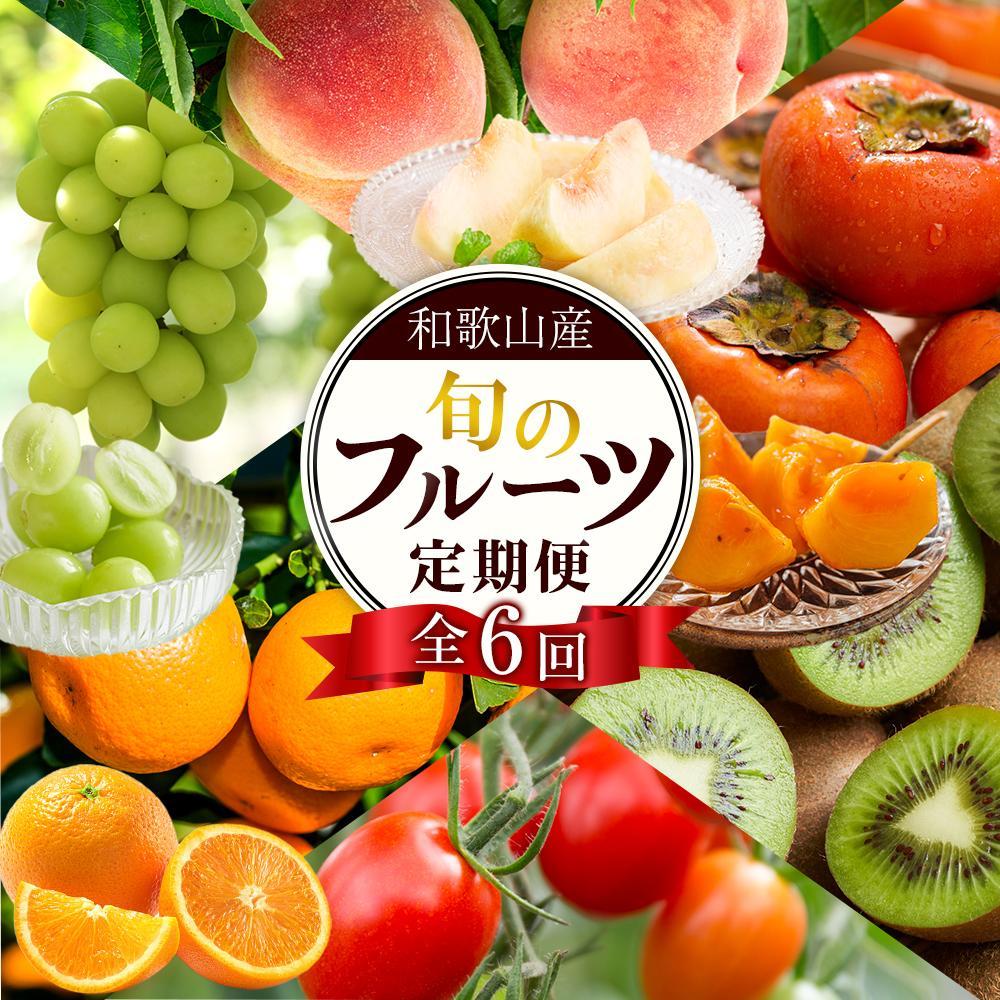【ふるさと納税】和歌山の旬の果実を 奇数月にお届け全6回定期便【TM49】 | フルーツ 果物 くだもの 食品 人気 おすすめ 送料無料