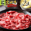 【ふるさと納税】牛肉 定期便 宮崎牛スライスセット 6ヶ月定期便 [ミヤチク 宮崎県 美郷町 31au0060] 冷凍 スライス 小分け 個包装 牛モモ 牛バラ 牛 牛ロース 牛肩ロース